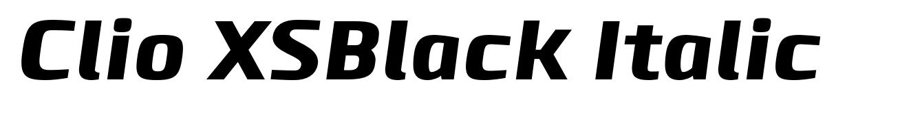 Clio XSBlack Italic